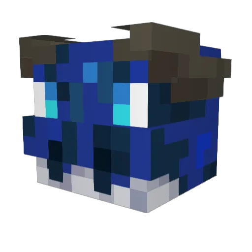 Captain_valor Minecraft avatar head, 3D render