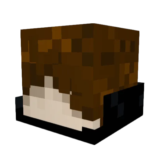 Captainabati Minecraft avatar head, 3D render