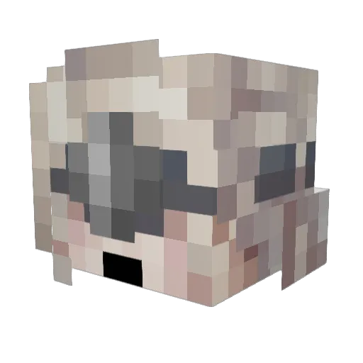 Captainbrain1 Minecraft avatar head, 3D render