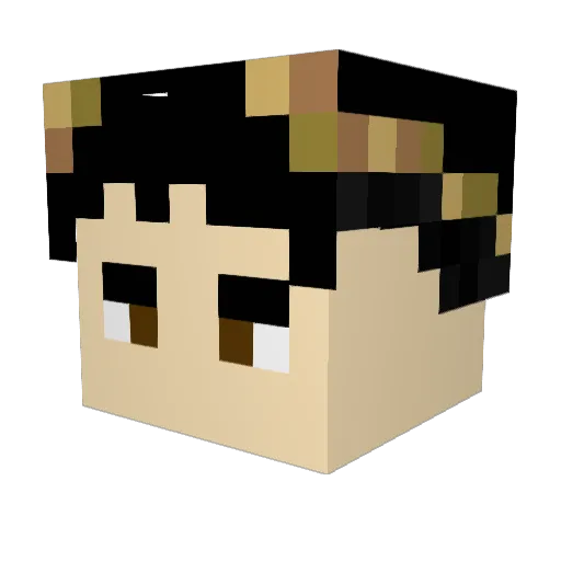 Captaindark7 Minecraft avatar head, 3D render