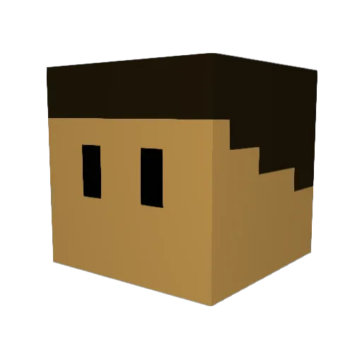 Captainerfeye Minecraft avatar head, 3D render