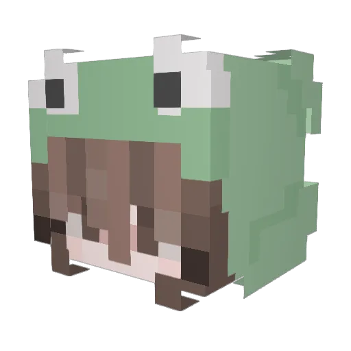 Captainkipper_ Minecraft avatar head, 3D render