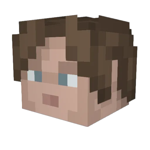 Captainswifty Minecraft avatar head, 3D render