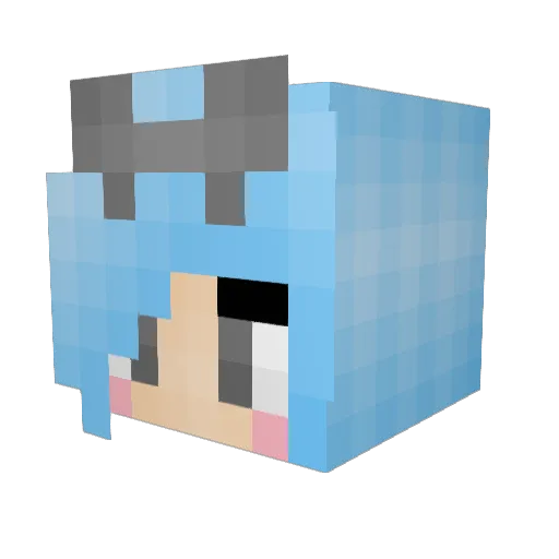 CaptianFabulos Minecraft avatar head, 3D render