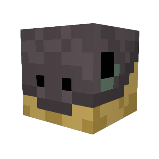 CaptianPython Minecraft avatar head, 3D render