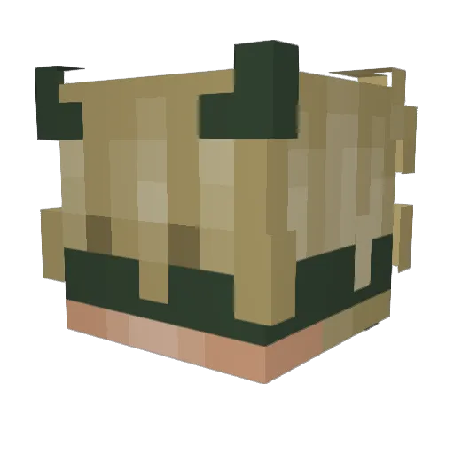 CaptianS6969 Minecraft avatar head, 3D render
