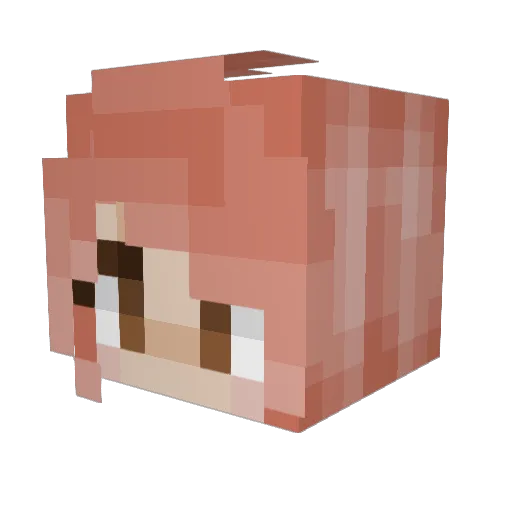 Captian_Mikkie Minecraft avatar head, 3D render
