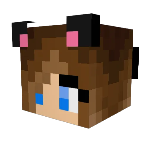 CaptiveDaisy90 Minecraft avatar head, 3D render