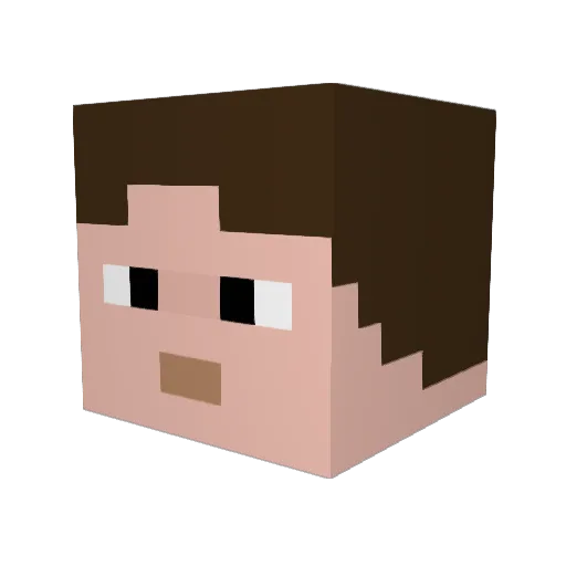 Captron1515 Minecraft avatar head, 3D render