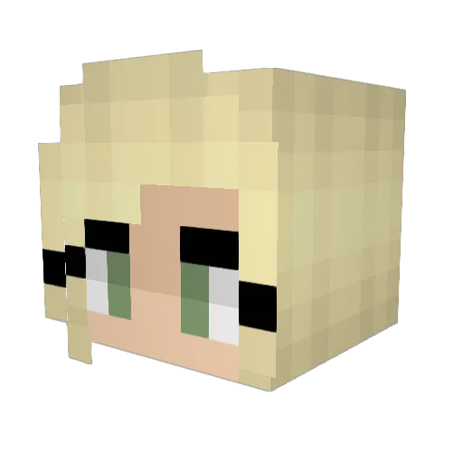 CapttHowdyy Minecraft avatar head, 3D render