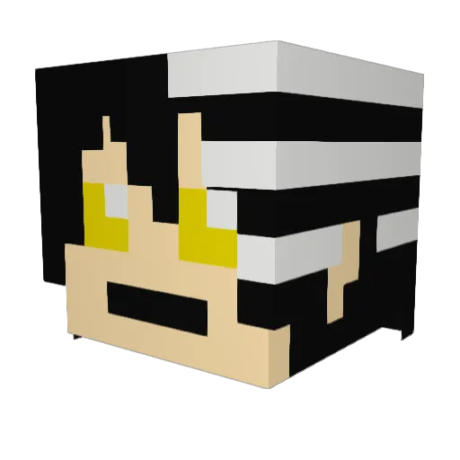 Capture Minecraft avatar head, 3D render