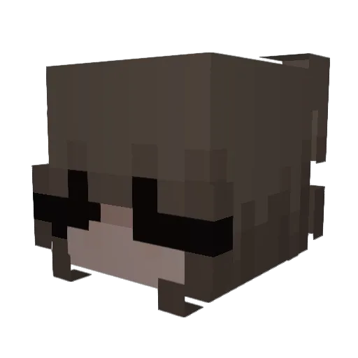 Capuline Minecraft avatar head, 3D render