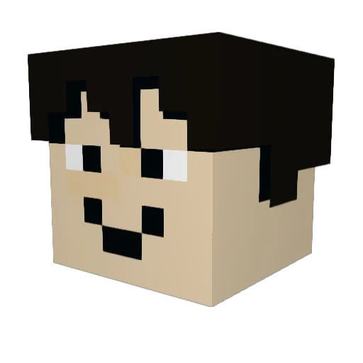 CapyGoose Minecraft avatar head, 3D render