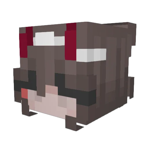 CapyNewYear Minecraft avatar head, 3D render