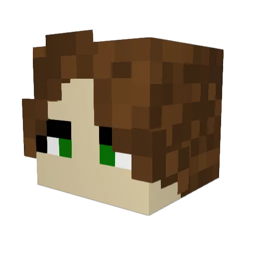 CapybaraSloth Minecraft avatar head, 3D render