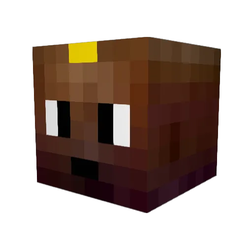 Capybaraboy Minecraft avatar head, 3D render