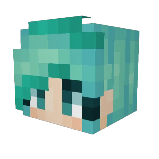 Capymb Minecraft avatar head, 3D render