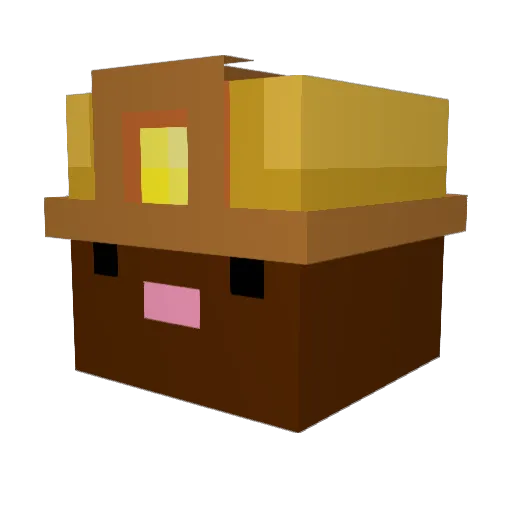 Caqybara Minecraft avatar head, 3D render
