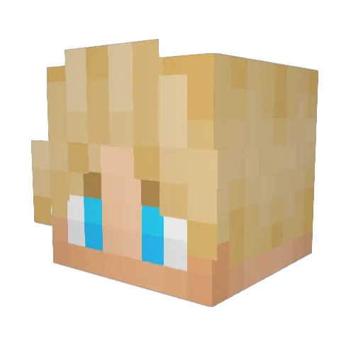 CarMan711 Minecraft avatar head, 3D render
