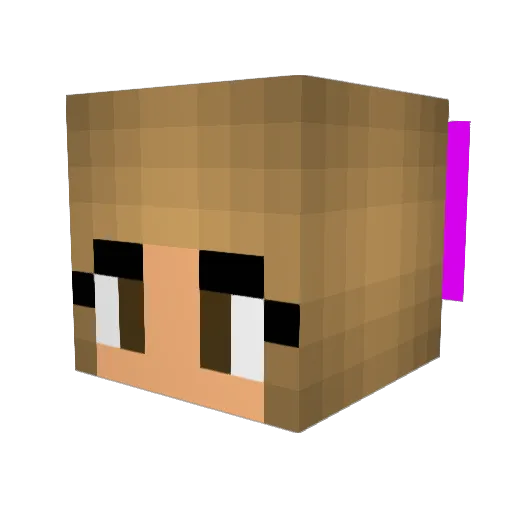 Cara8888 Minecraft avatar head, 3D render