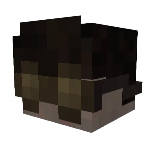CaraBee Minecraft avatar head, 3D render