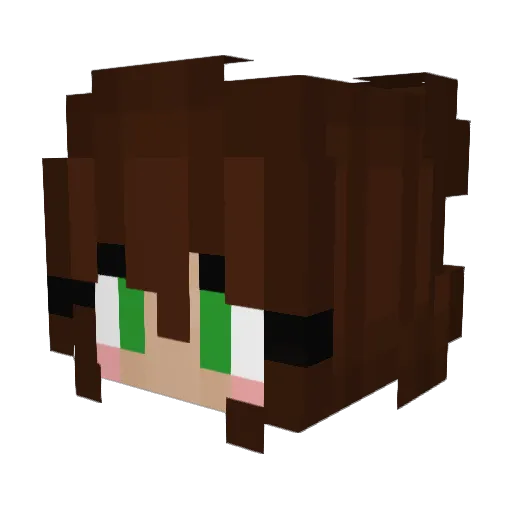 CaraBobeara Minecraft avatar head, 3D render