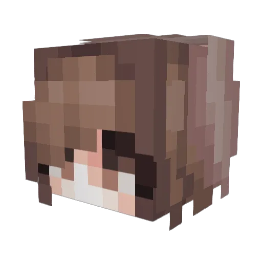 CaraCat Minecraft avatar head, 3D render