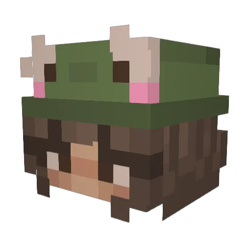 Cara_c3 Minecraft avatar head, 3D render