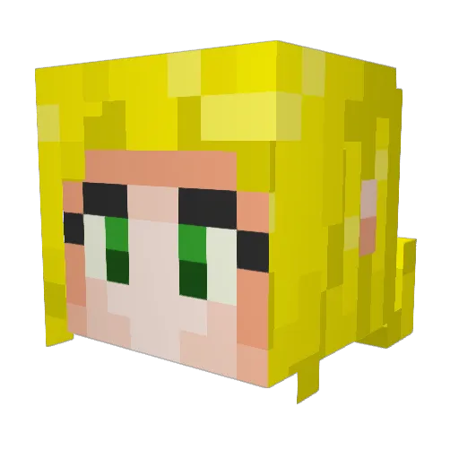 Carabassa Minecraft avatar head, 3D render