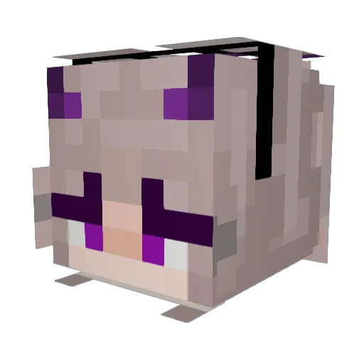 Caraboo22 Minecraft avatar head, 3D render