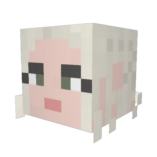 Caracala Minecraft avatar head, 3D render
