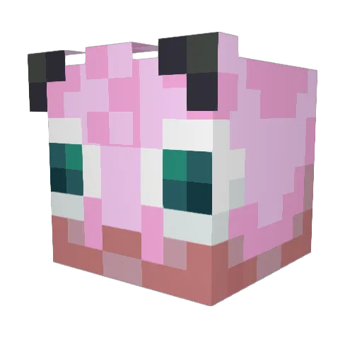 CaracolPiromano Minecraft avatar head, 3D render