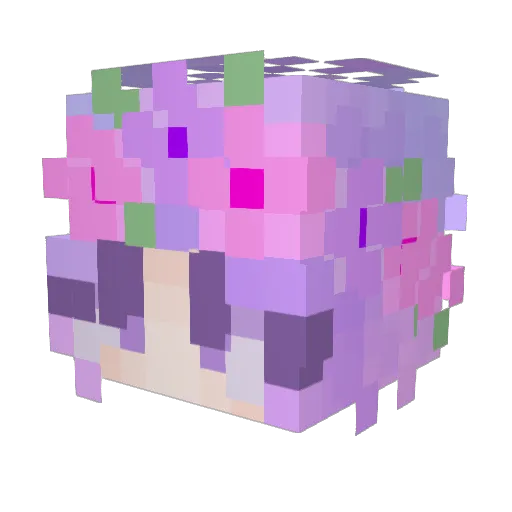CaramelFudge04 Minecraft avatar head, 3D render