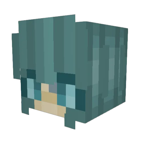 Carapace__ Minecraft avatar head, 3D render