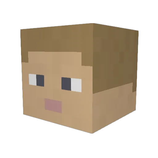 Caravan Minecraft avatar head, 3D render
