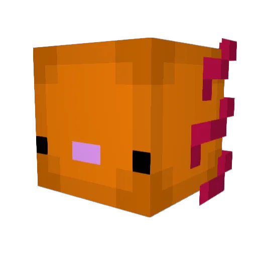 Carbidar Minecraft avatar head, 3D render