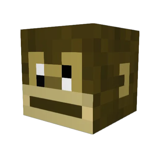 Carbin2k4 Minecraft avatar head, 3D render
