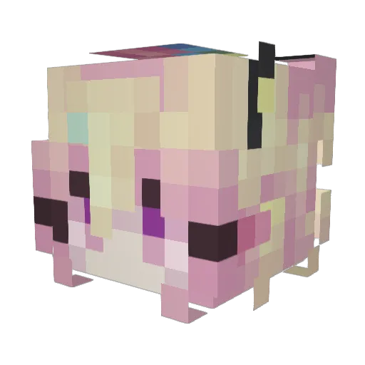 Carbine_79 Minecraft avatar head, 3D render