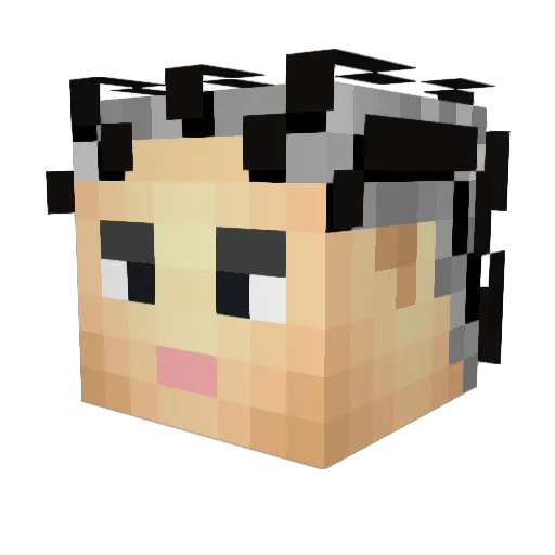 Carbloid Minecraft avatar head, 3D render
