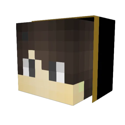 CarbonBased21 Minecraft avatar head, 3D render