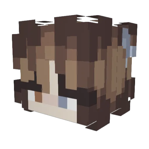 CarbonatedSnails Minecraft avatar head, 3D render