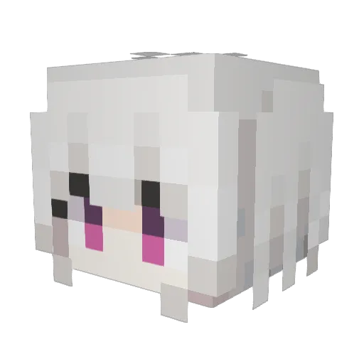 Carbonic8v0 Minecraft avatar head, 3D render