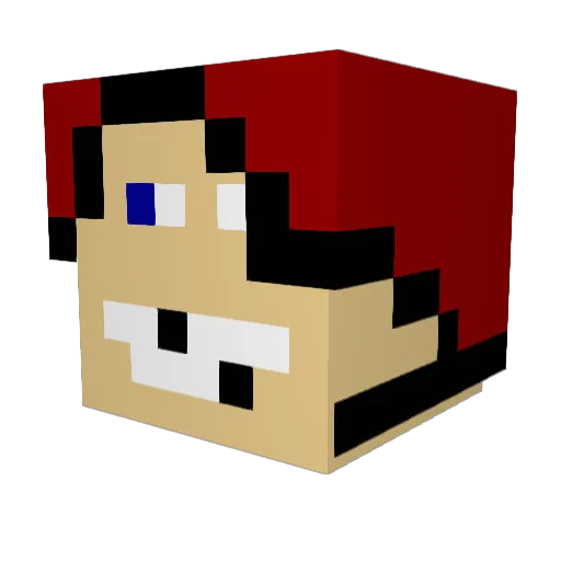 Carcajou Minecraft avatar head, 3D render