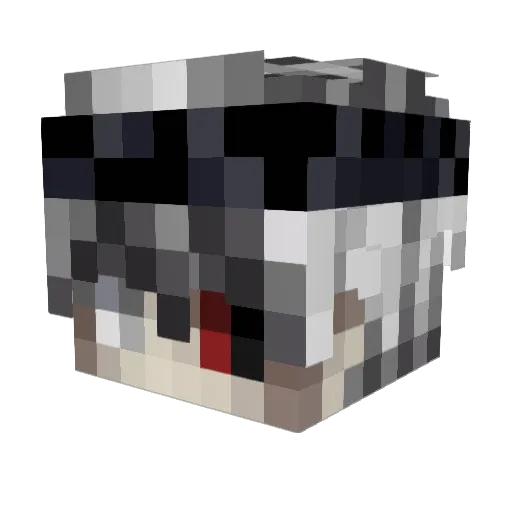 CarcasseIsBack Minecraft avatar head, 3D render