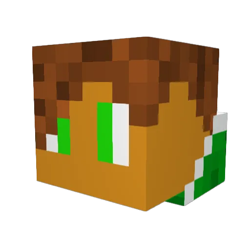 CardLynx Minecraft avatar head, 3D render