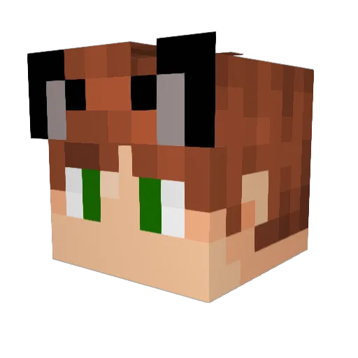 CardMagic272 Minecraft avatar head, 3D render