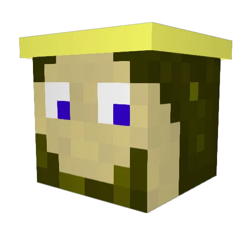 CardboardDoom Minecraft avatar head, 3D render