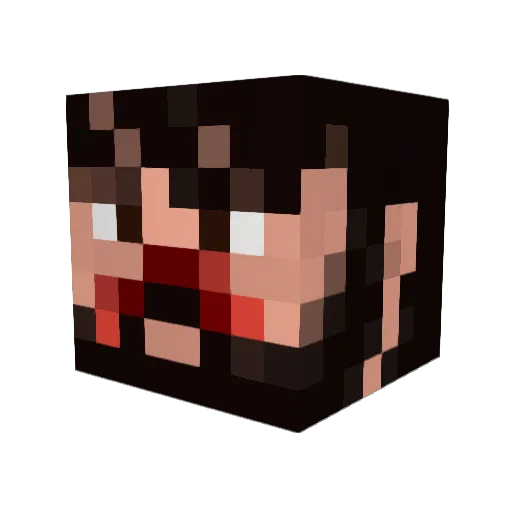 Cardboardnine Minecraft avatar head, 3D render