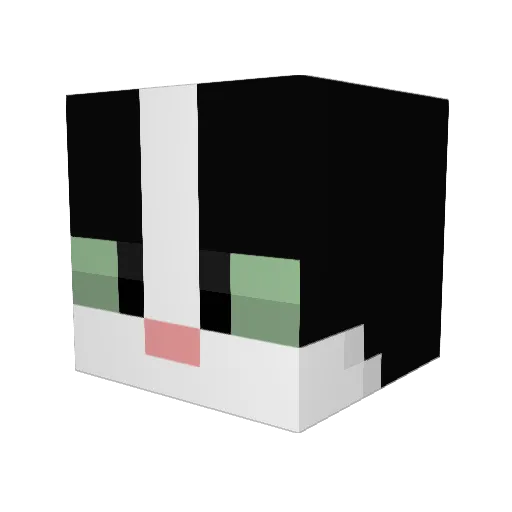 CarderCat Minecraft avatar head, 3D render