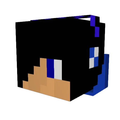 Cardinals49 Minecraft avatar head, 3D render